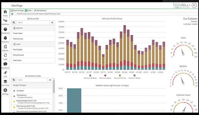 Bizview dashboard