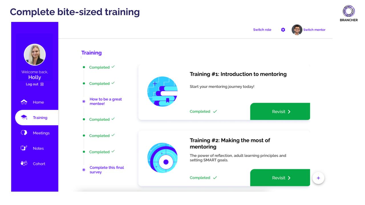 Brancher Software - 7