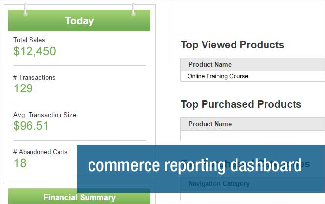 Unbound Commerce Software - Track sales, transcations and cart abandonments using iAPPS commerce reporting dashboard
