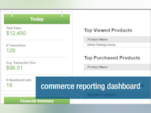 Unbound Commerce Software - Track sales, transcations and cart abandonments using iAPPS commerce reporting dashboard