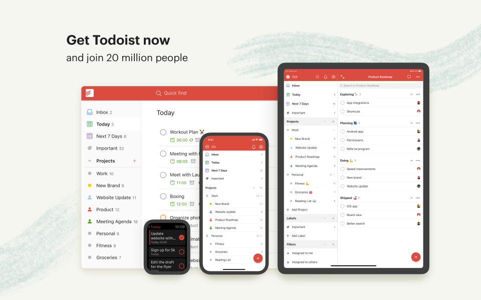 todoist and notion