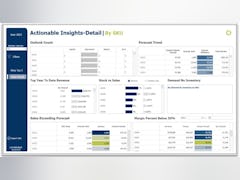 SAFIO Solutions Software - Actionable Insights-Get a top level view of key elements of the business, or get a detailed view by SKU.  Can be filtered by any attribute.  Take action on the what impacts your business the most. - thumbnail