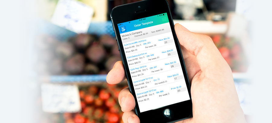 Laceup DSD Route Accounting-thumb