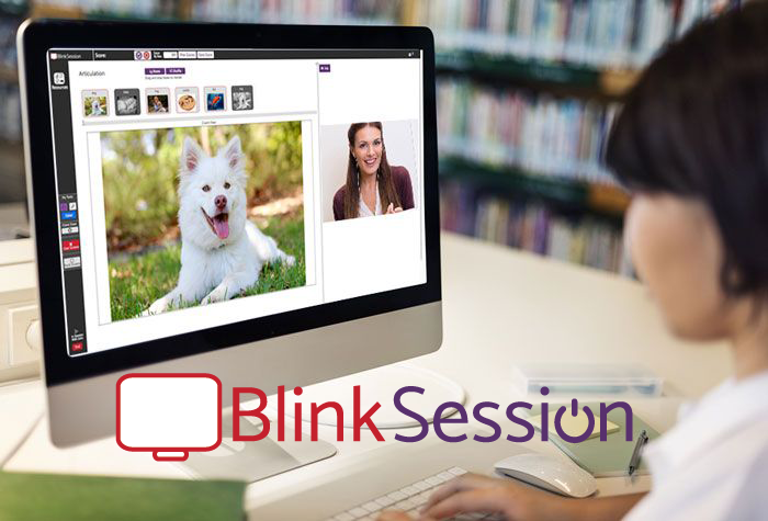 Blink Session Software - 1