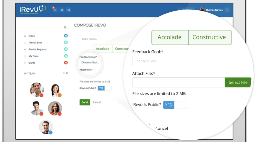 iRevü screenshot: iRevü feedback goals