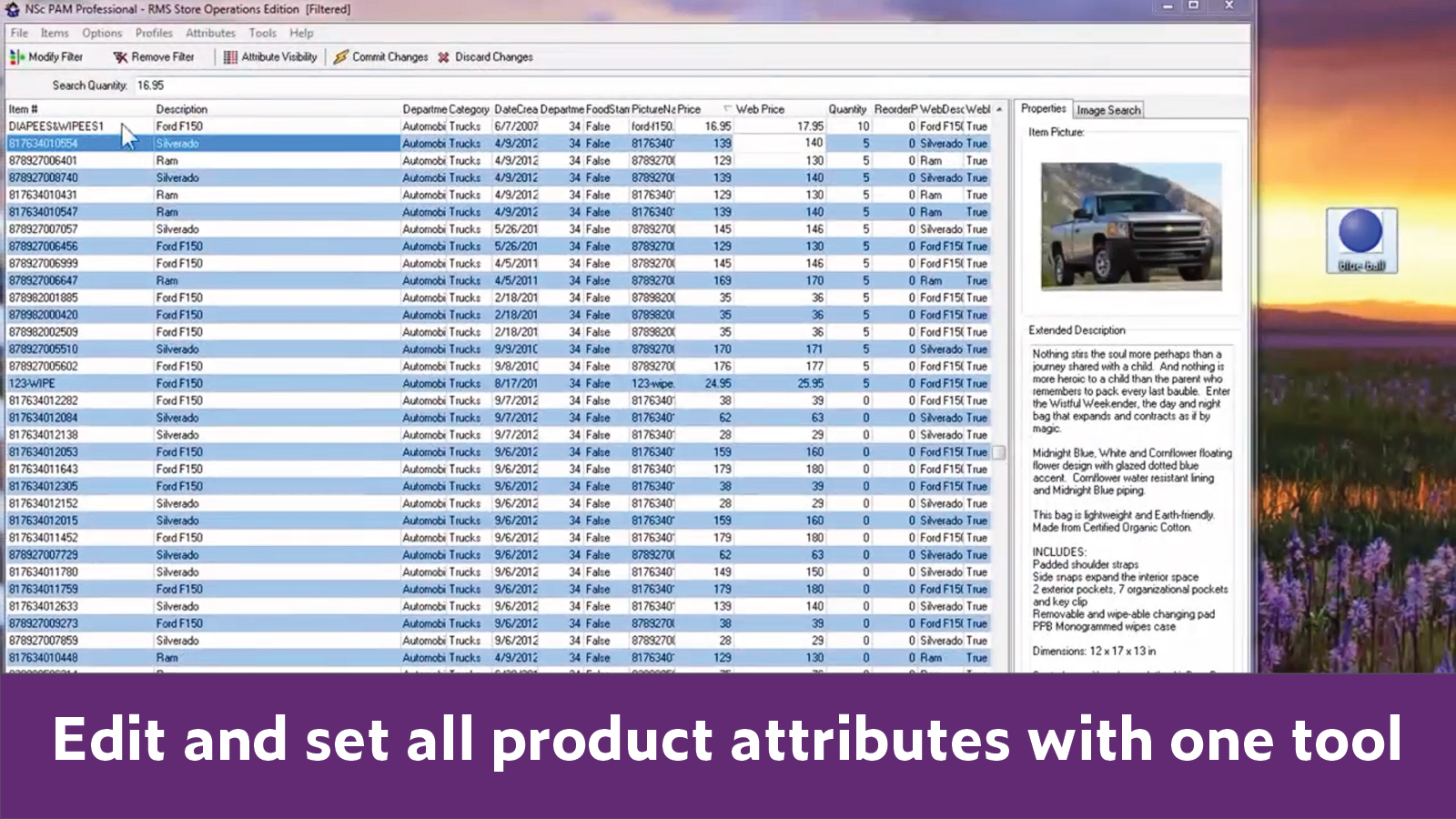 Manage every aspect of your products with the Product Attribute Manager (PAM).