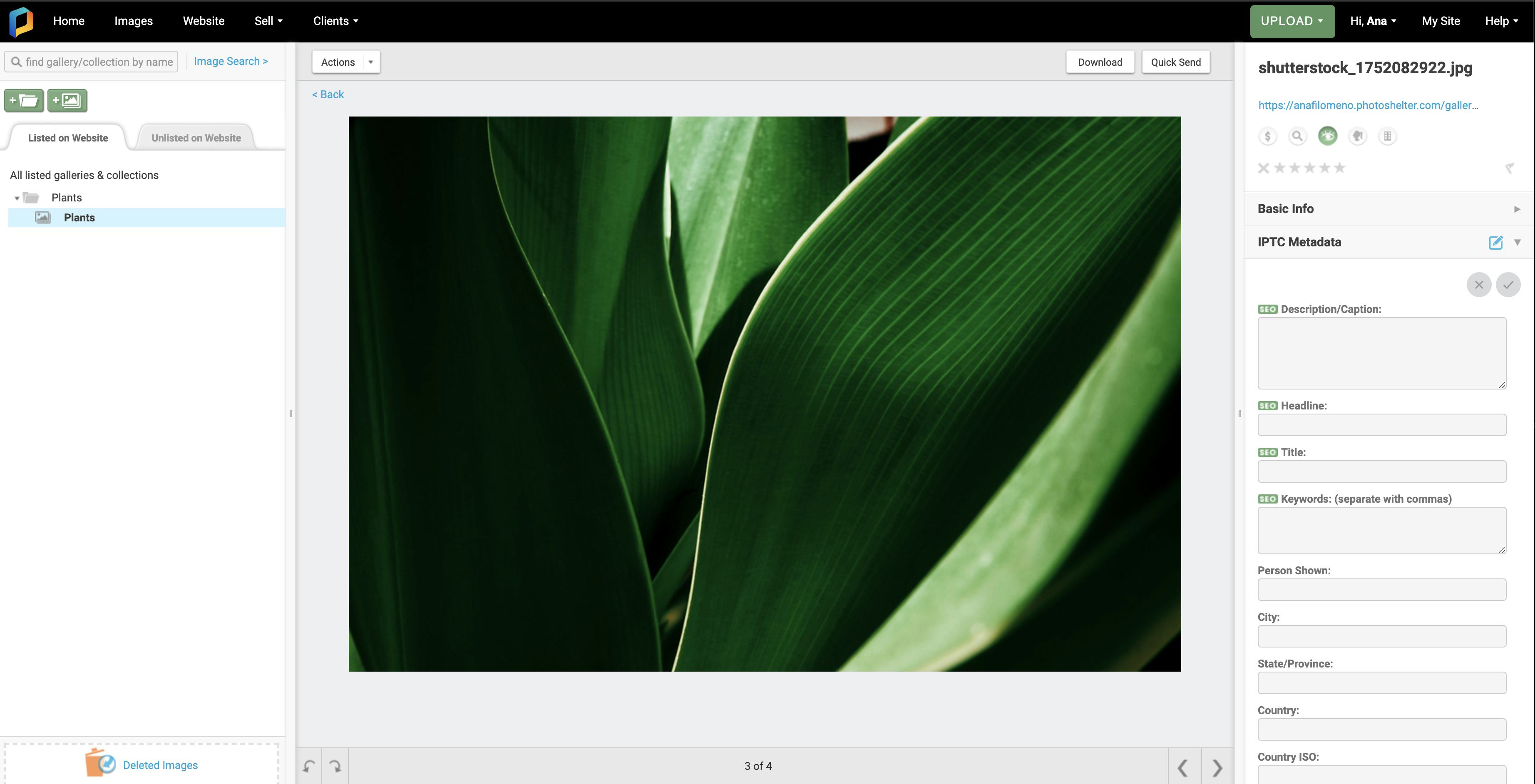 PhotoShelter for Brands Logiciel - 4