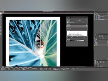 QuarkXPress Software - Photo Editing