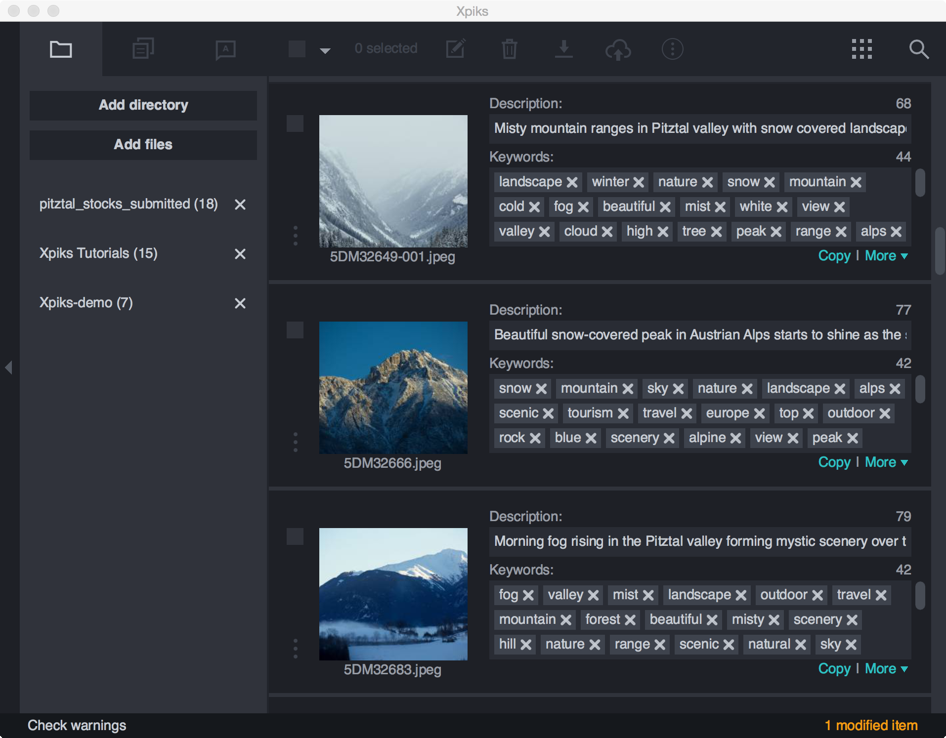 Xpiks screenshot: Xpiks main window