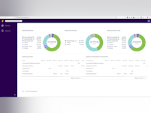 Eleven Software - Reporting and BI with customization features.