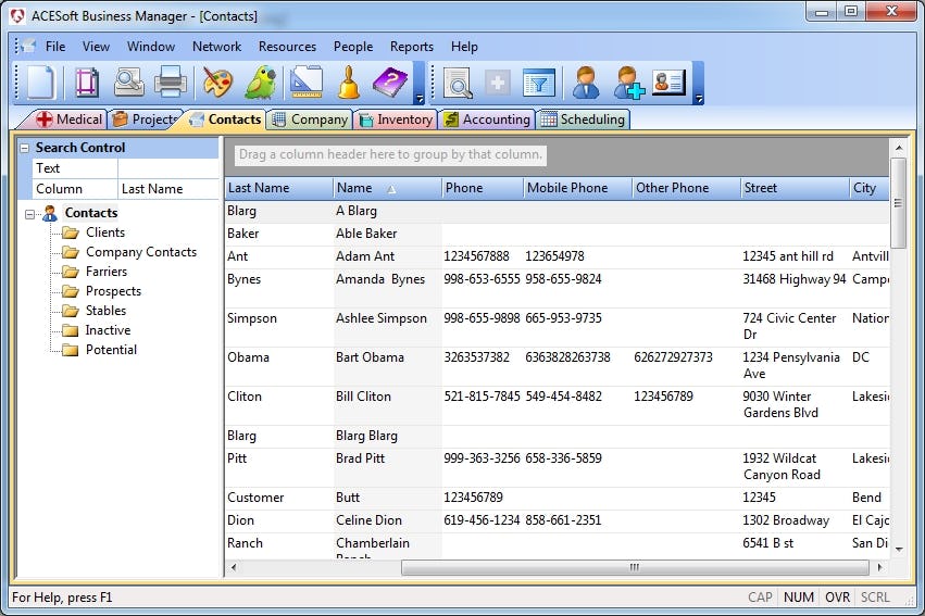 ACESoft Business Manager Software - Contacts list