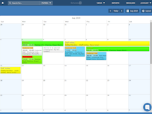 Schedule it Software - 1 of the 8 different views. Month view.