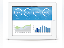 Longboat Software - Graphical reports and analytics provide insight into engagement and risks