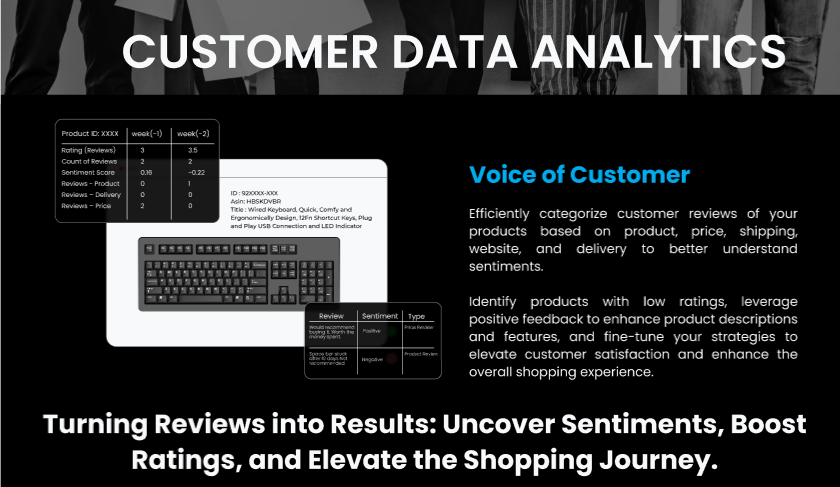 brioanalytics.ai -Voice of Customer(Customer Data Analytics)