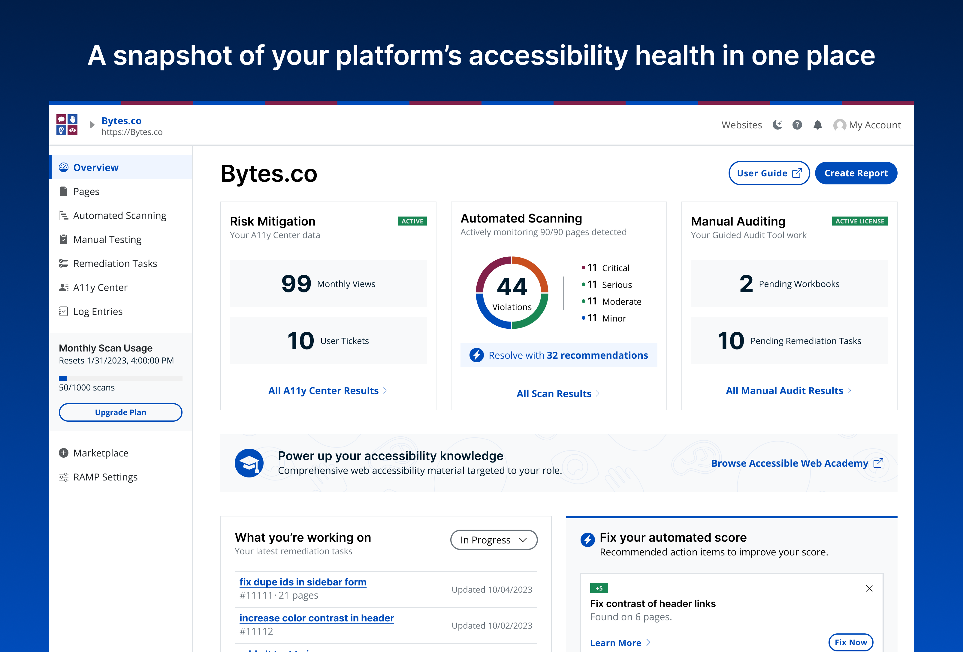 "A snapshot of your platform's accessibility health in one place." The Overview tab highlighting the main components of web accessibility, Risk Mitigation, Automated Scanning, Manual Auditing, and includes recommendations on next steps.