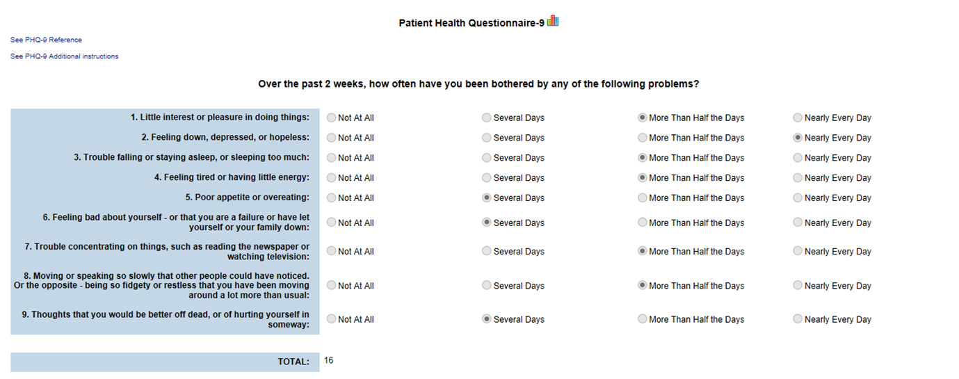 CareLogic Enterprise Software - CareLogic's customizable patient health questionnaire