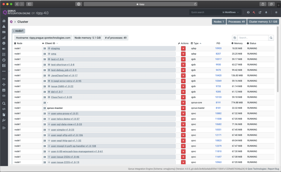 Qorus Integration Engine Software - 5