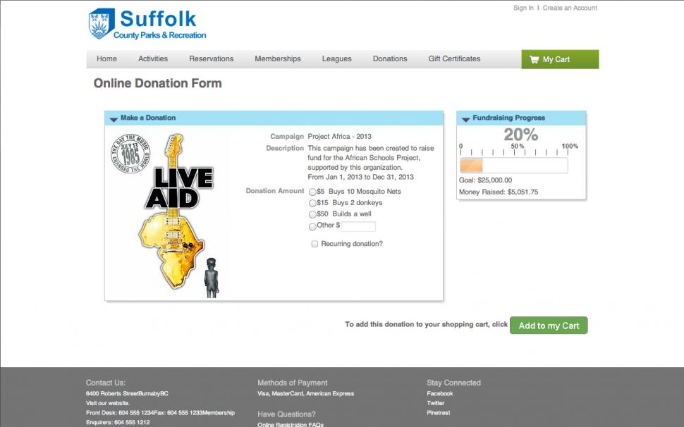 Fundraising and online donation form