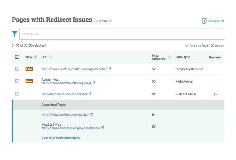 Moz Software - Redirect issues can be filtered by URL