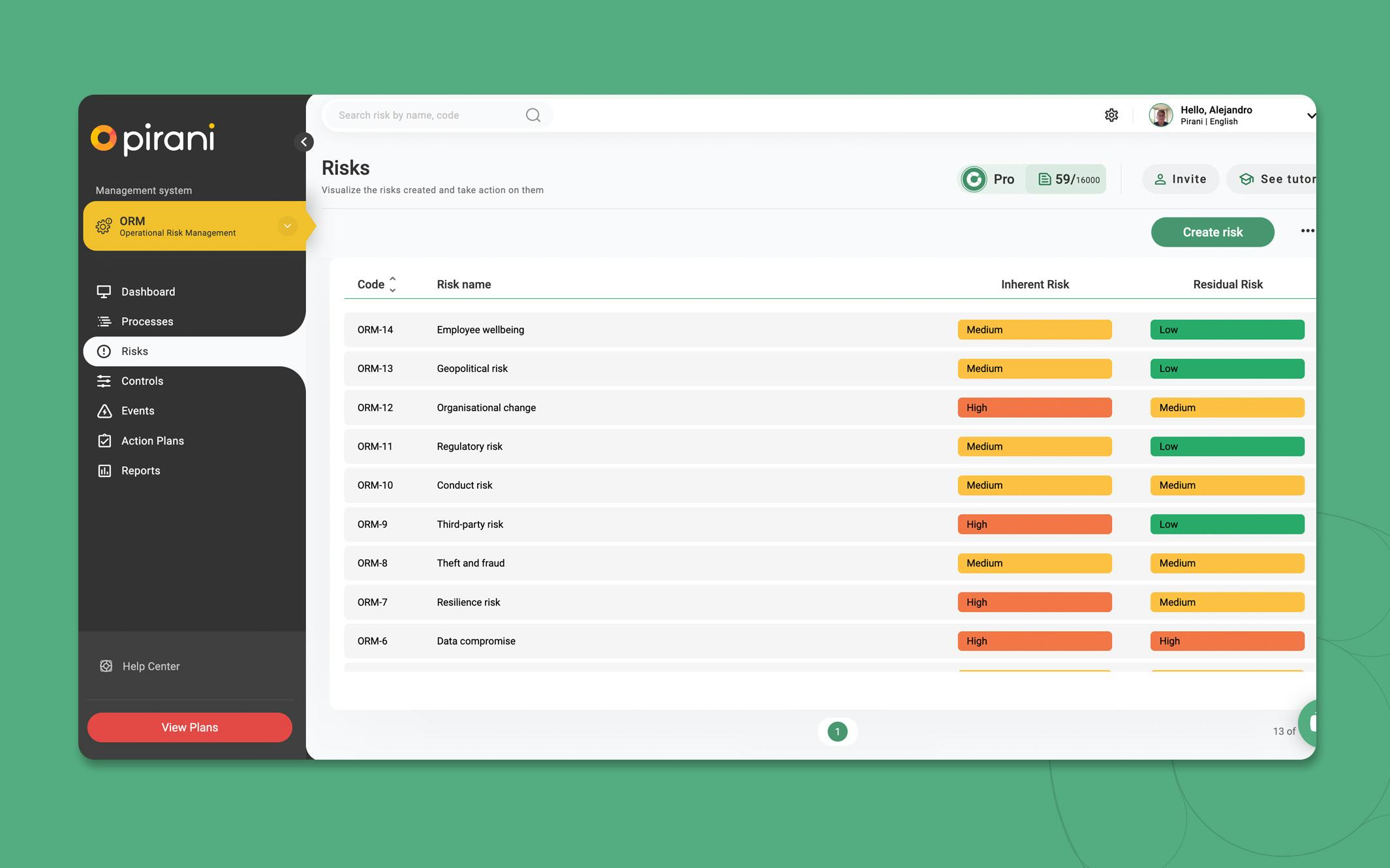 Pirani Software - 2