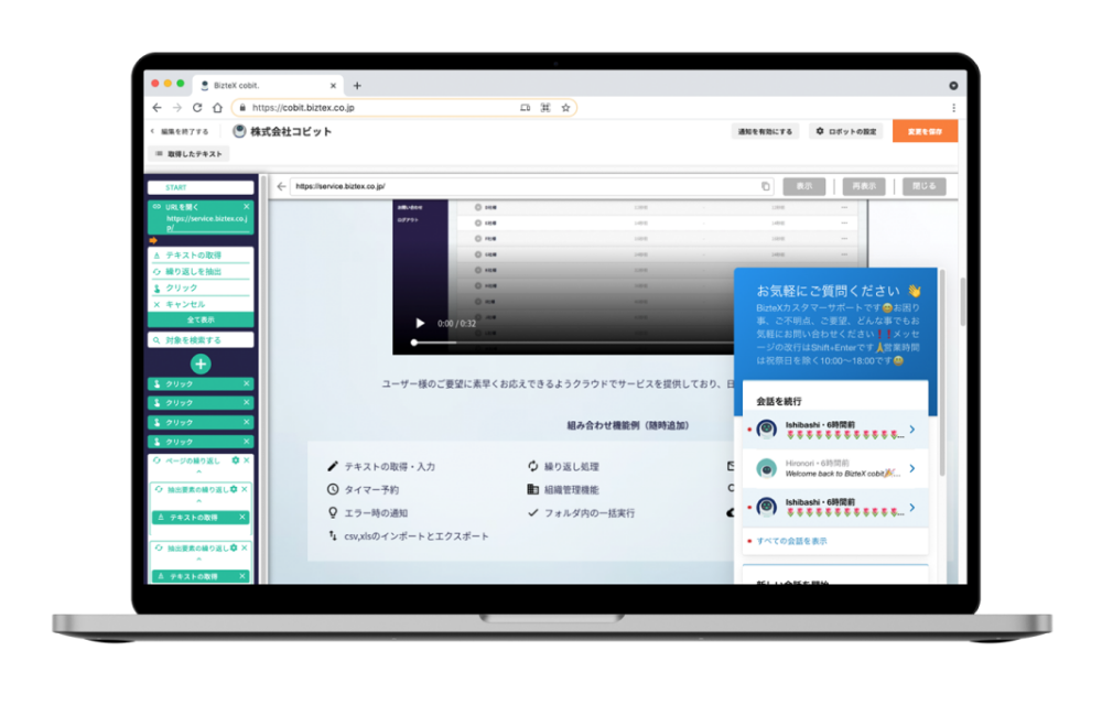 BizteX cobit