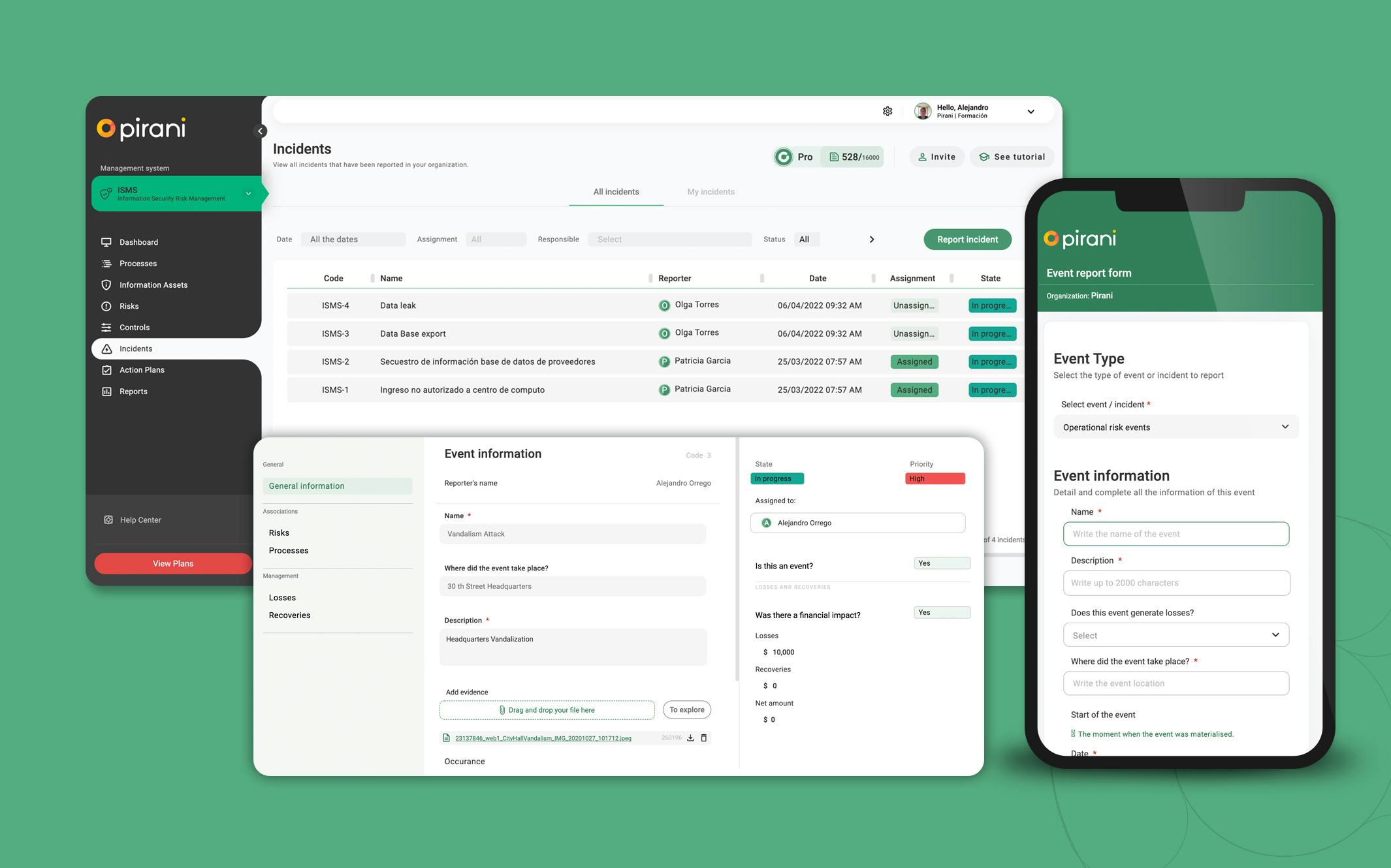 Pirani Software - 3
