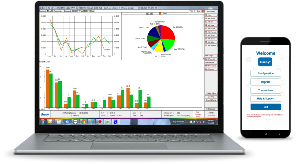 busy accounting software features