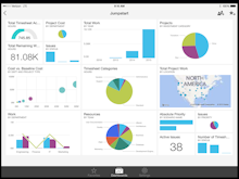 Microsoft Power BI Software - Microsoft Power BI Mobile for iPad