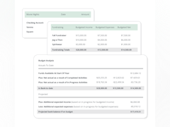 MoneyMinder Software - BUDGET-FOCUSED COA | Create a custom Chart of Accounts (COA) that works for your group. Stay on budget and track your financial health with easy-to-run reports. - thumbnail