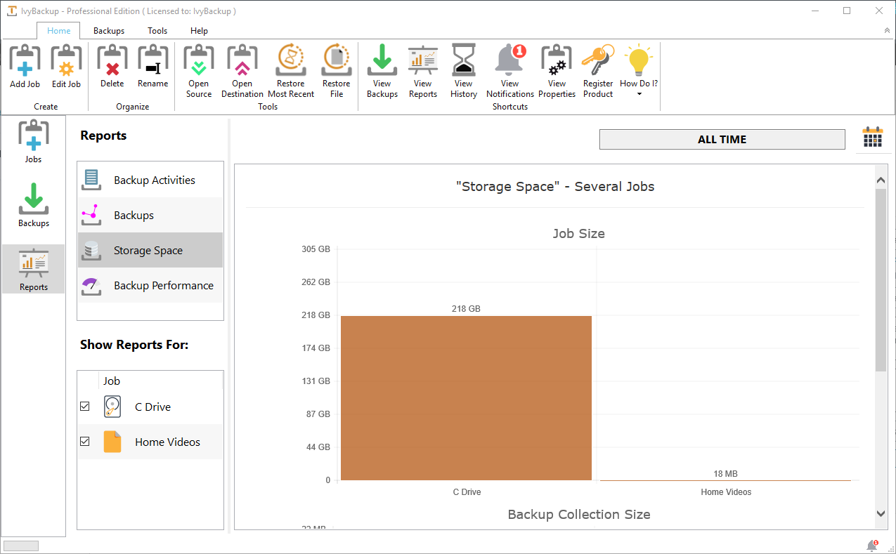 IvyBackup Software - Reports