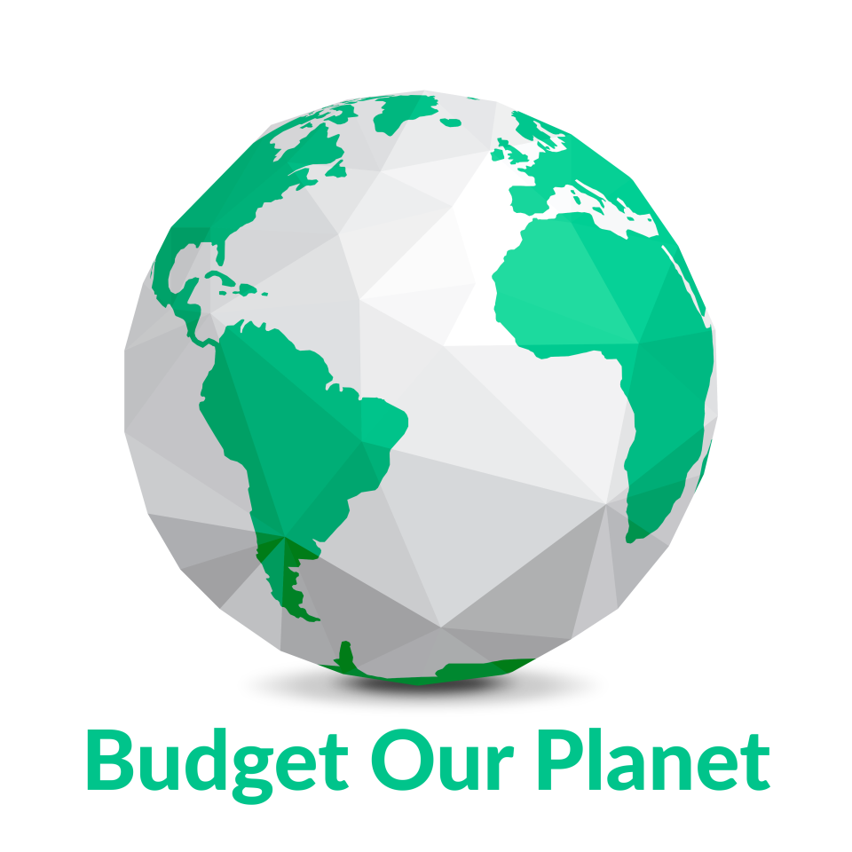 Budget Our Planet Logiciel - 1