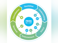 FRISS Software - 1
