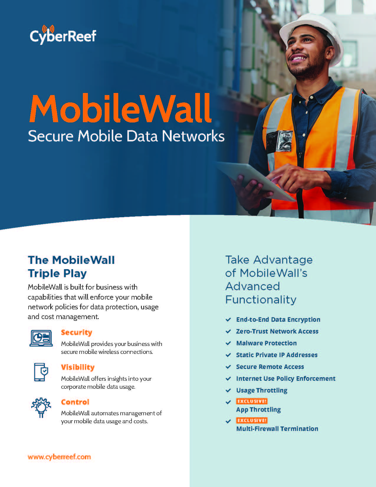 MobileWall Secure Mobile Data Networks