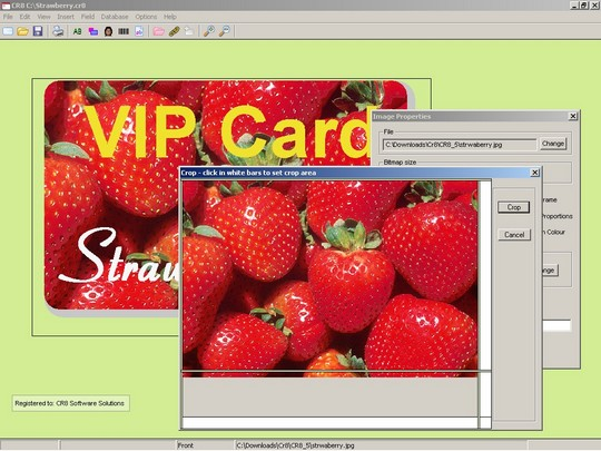 CR8 for Windows 3.01 Software - 1