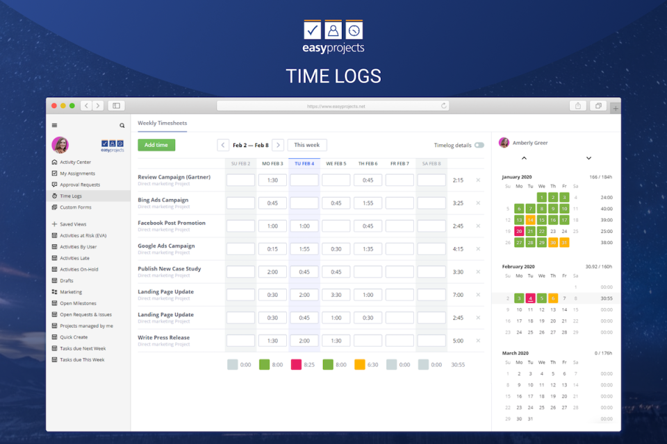 Easy Projects Software - Time Logs