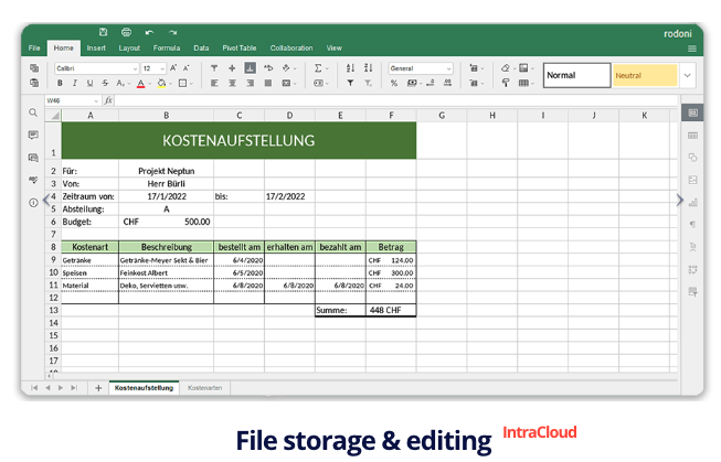 File storage and editing