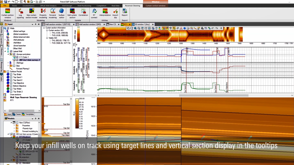 Petrel E&P Software Platform Logiciel - 3