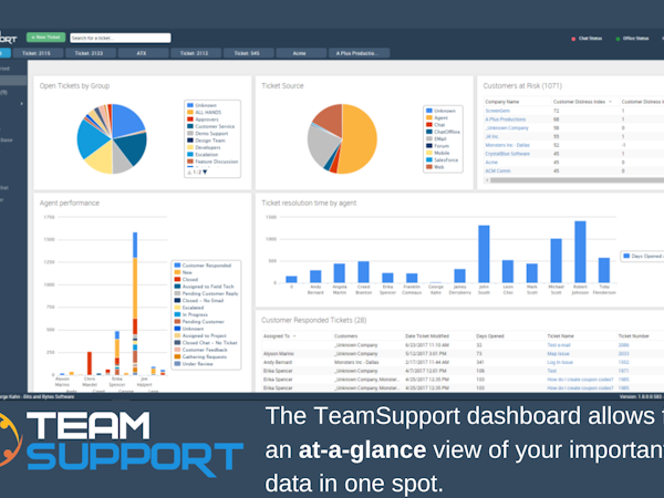 TeamSupport Software - 1