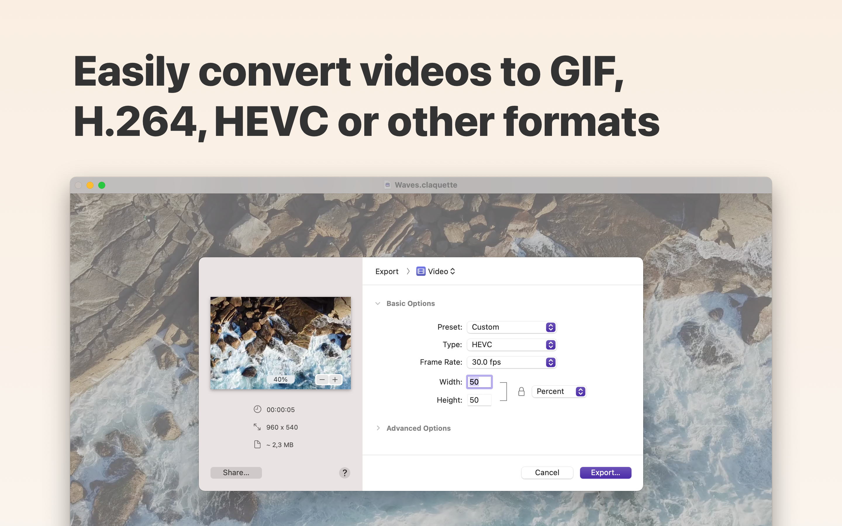 Easily convert video to GIF, H.264, HEVC or other formats