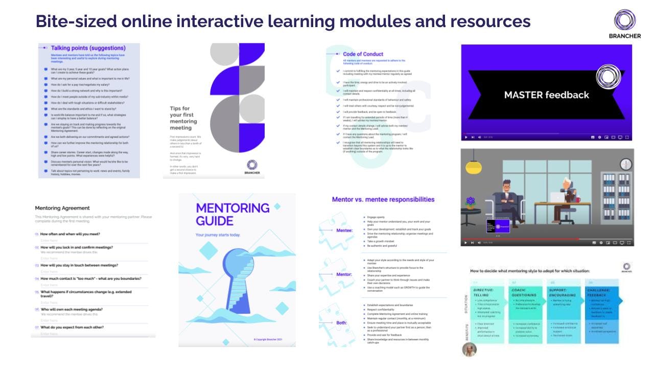 Brancher Software - 3