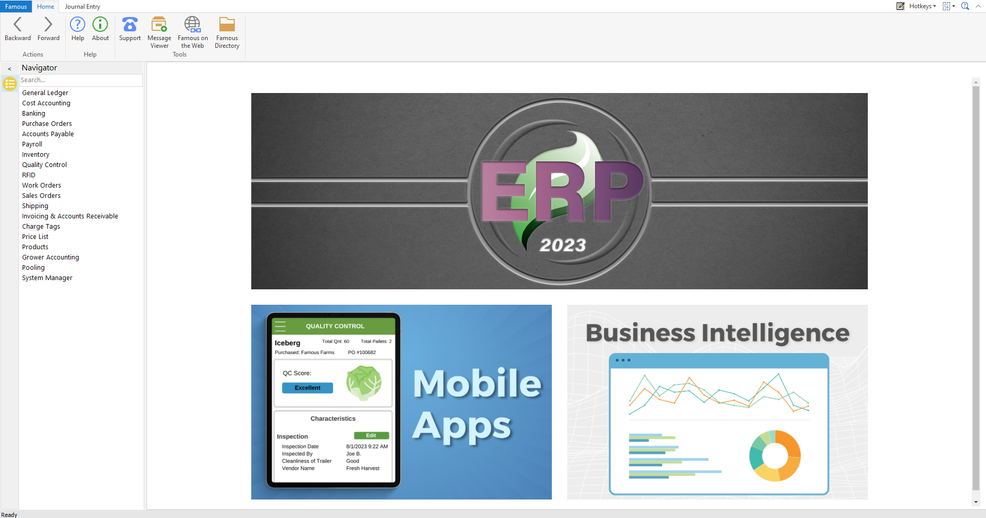 Famous Software screenshot: Famous Software home page