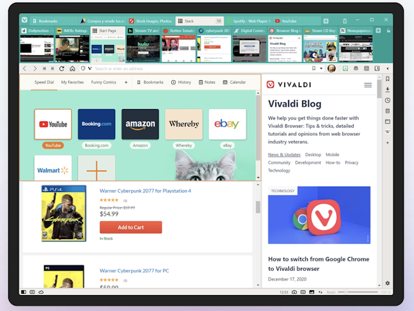 Vivaldi Browser Software - 3