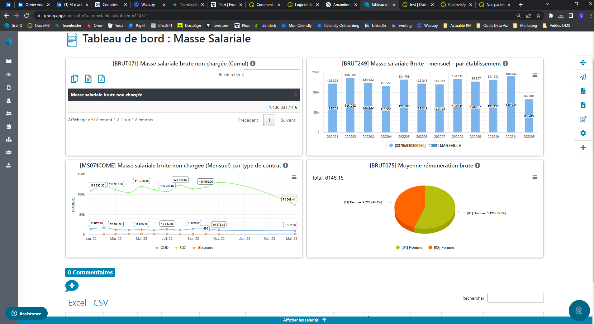 GrafiQ screenshot: Tableau de bord_Masse salariale