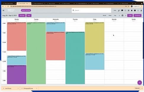 Savvy Studio screenshot: Savvy Studio appointment scheduling