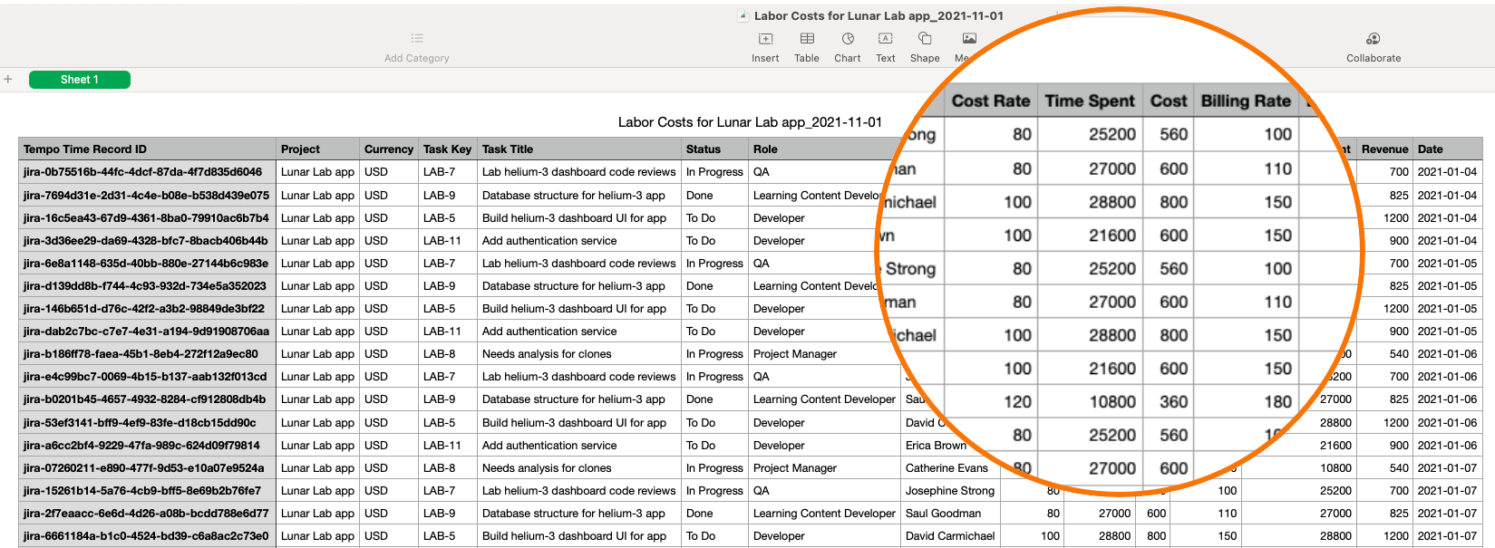 Report on project scope or labor costs, as shown on this image.