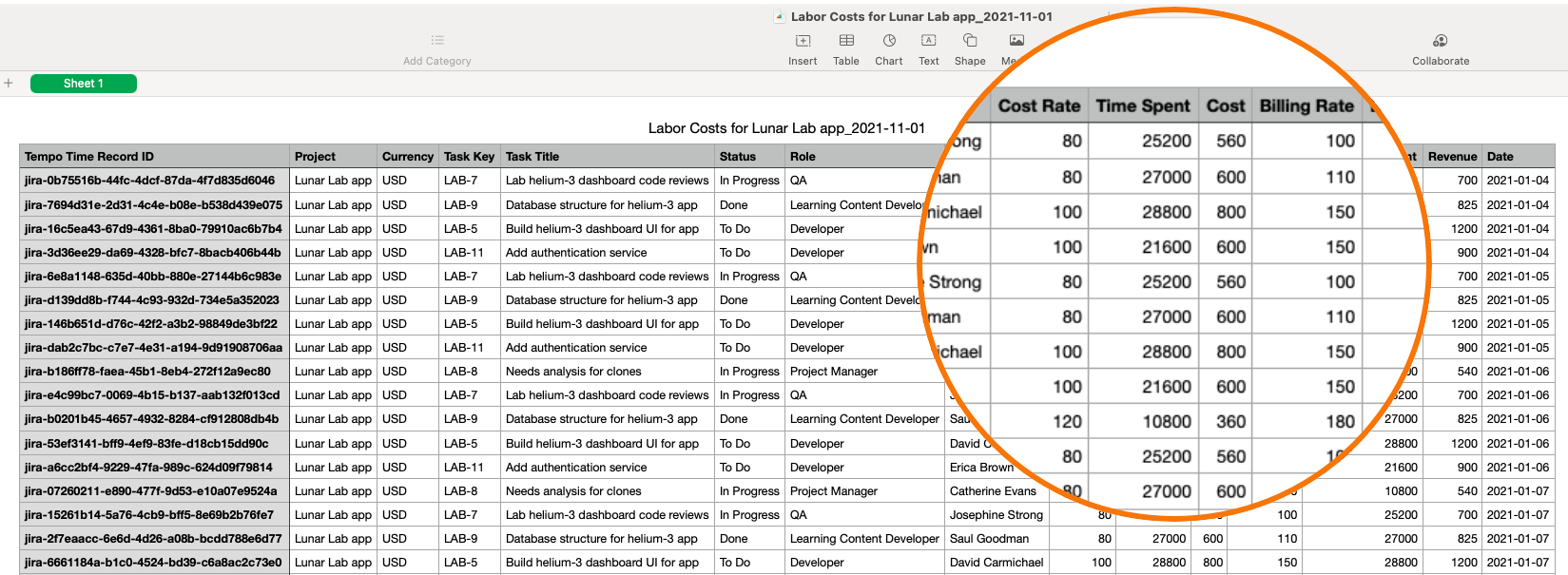 Tempo Cost Tracker Software - 3