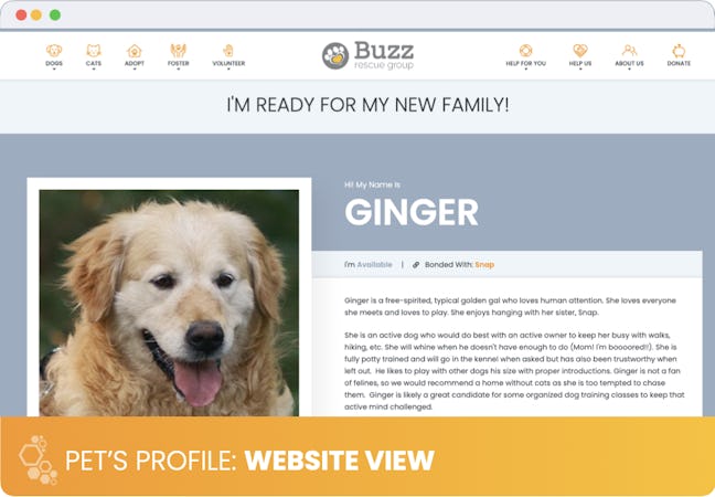 Buzz to the Rescues screenshot: Pet profile page