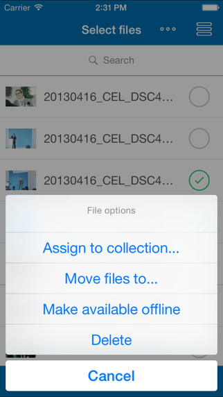 Celum Software - 6