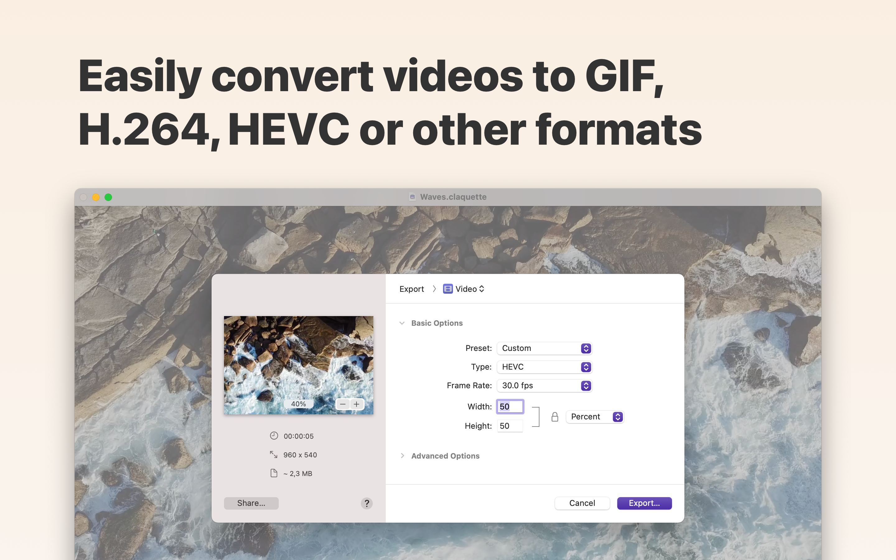 Easily convert videos to GIF, H.264, HEVC or other formats-thumb