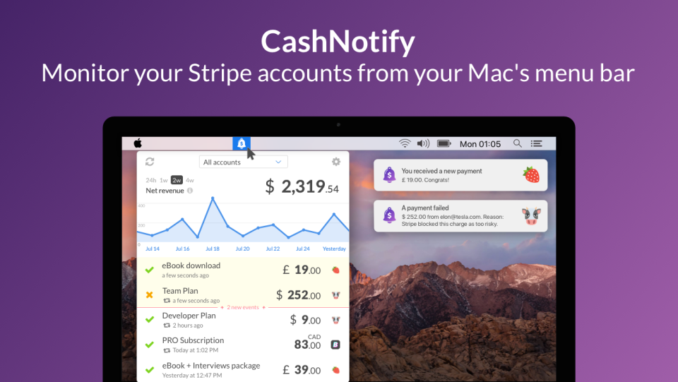 Payment notifications app-thumb